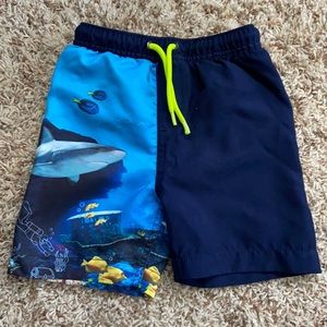 Lands End Boys Shark Swim Trunks